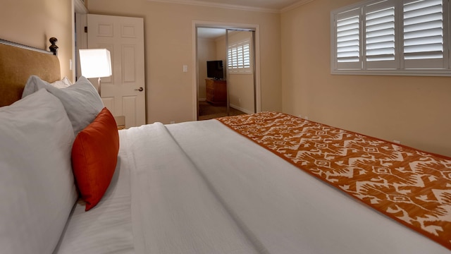 ベストウエスタン プラス アロヨ ローブル ホテル & クリークサイド ヴィラズ