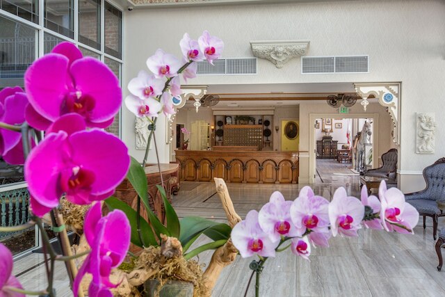 ホートングランド, ダウンタウン/ガスランプクォーター