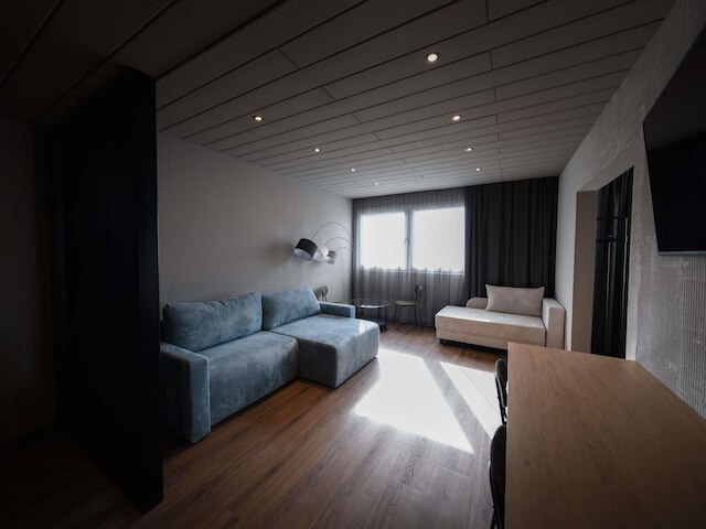 イビス スタイルズ リンツ