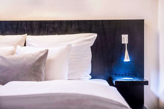 スカンディック パレス ホテル