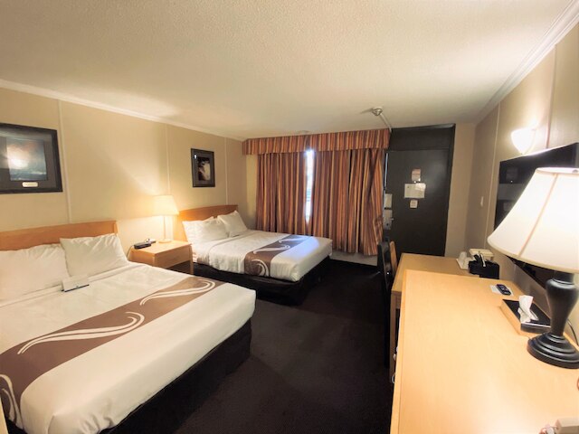 クオリティ イン & スイーツ