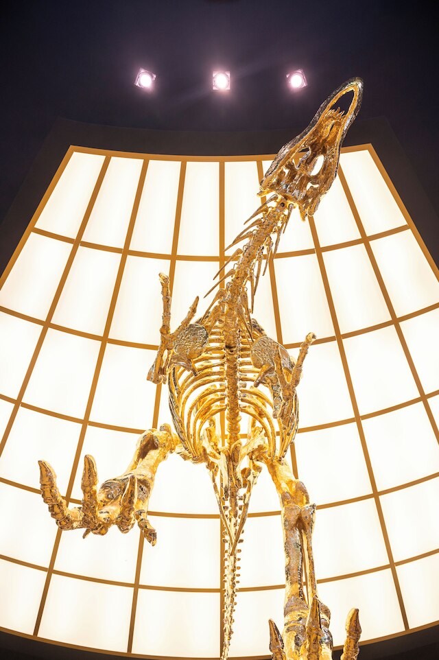 エスペリア プレジデンテ