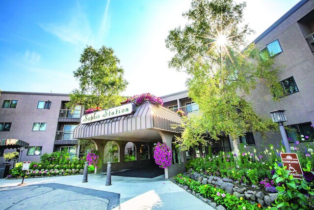 ソフィー ステーション スイーツ