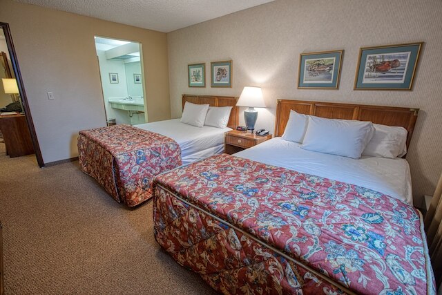 ソフィー ステーション スイーツ