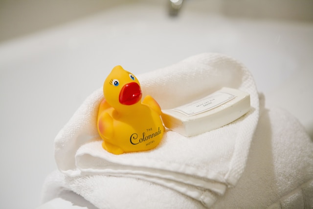 ザ コロネード ホテル バック ベイ