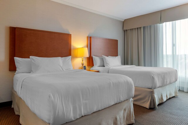 ベストウェスタン プラス ガティノー - オタワ ダウンタウン