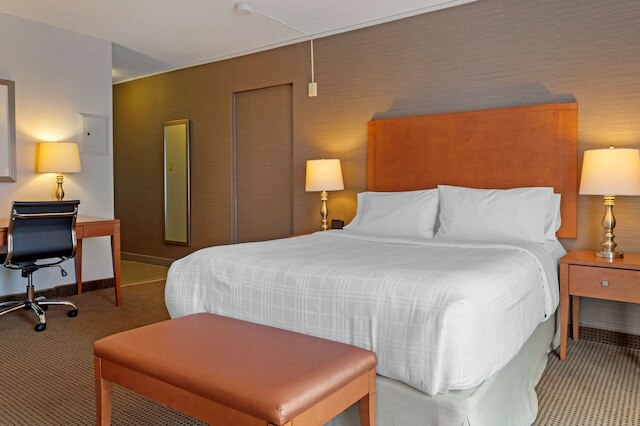 ベストウェスタン プラス ガティノー - オタワ ダウンタウン