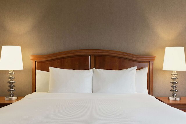 ダブルツリー バイ ヒルトン デトロイト ノビ