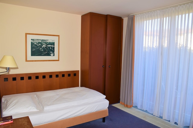 ラディソン ブル パーク ホテル & カンファレンス センター