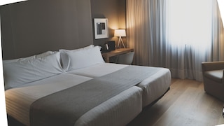 ホテル ゼニット コンデ デ オルガズ