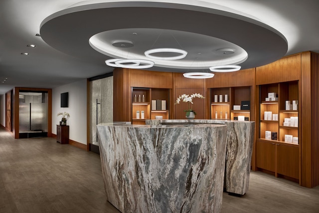 ザ リッツ カールトン シカゴ