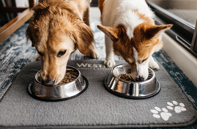 ザ ウェスティン ベイショア バンクーバー