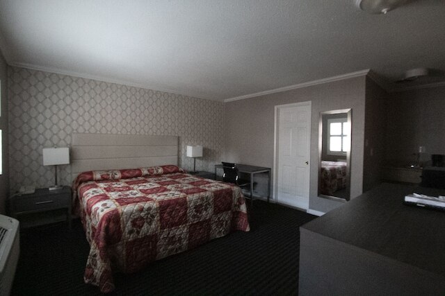 アルファ イン & スイーツ