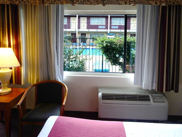 マルディ グラス ホテル & カジノ