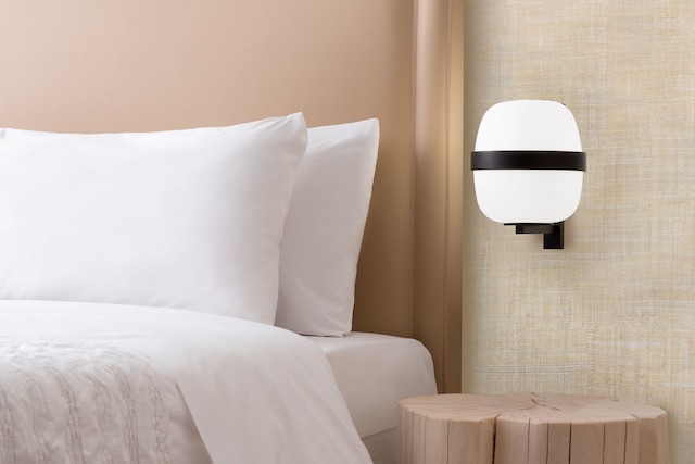 ル メリディアン ニース