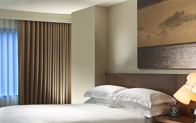 ヒルトン サンディエゴ ミッション バレー