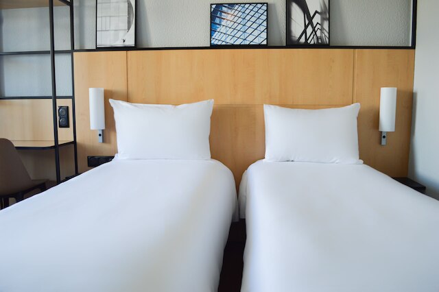 イビス パリ トゥール エッフェル カンブロンヌ 15 区