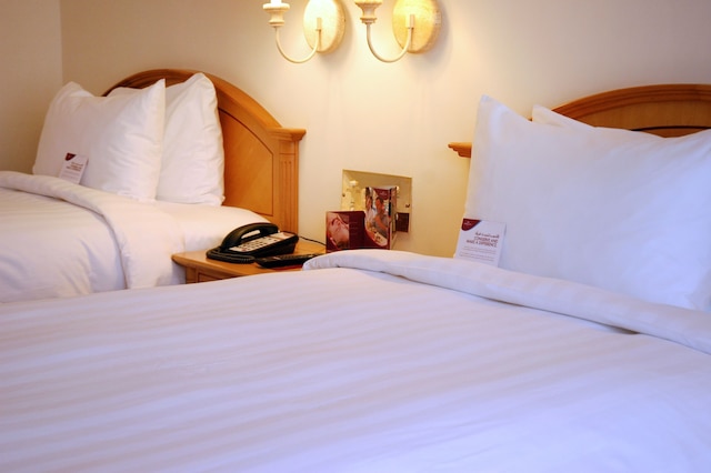 ミレニアム ダウンタウン