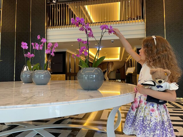 ヒルトン ウィーン プラザ