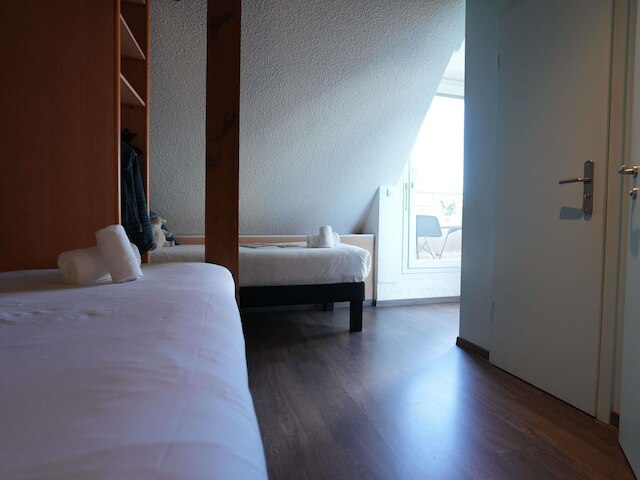 イビス コルマール サントル