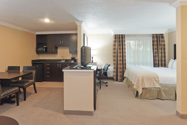 ホリデイ イン ホテル & スイーツ サンマテオ-サンフランシスコ SFO by IHG