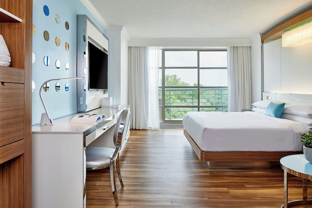 ルネサンス シャーロット サウスパーク