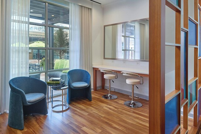 ルネサンス シャーロット サウスパーク