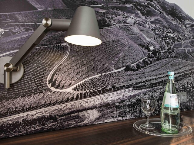 イビス スタイルス オッフェンブル シティ