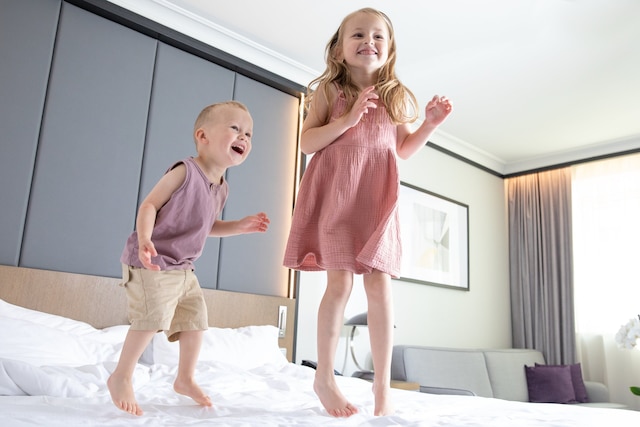 ヒルトン プラハ