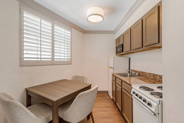 コンフォート イン & スイーツ オーモンド ビーチ オーシャンフロント