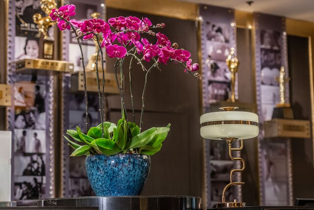 クラウン プラザ ホテル 上海 by IHG (上海銀星皇冠假日酒店)