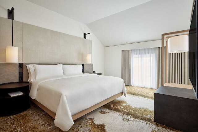 ザ ウェスティン グランド フランクフルト