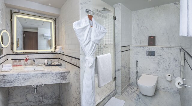 ウェルカムホテル バイ ITC ホテルズ カテドラル ロード チェンナイ