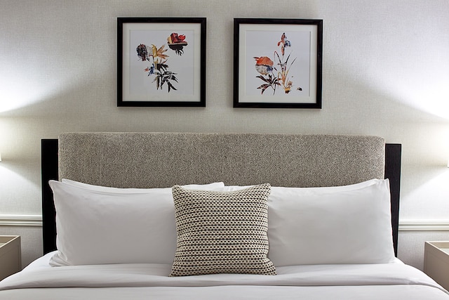 モリソン ハウス オールド タウン アレクサンドリア オートグラフ コレクション