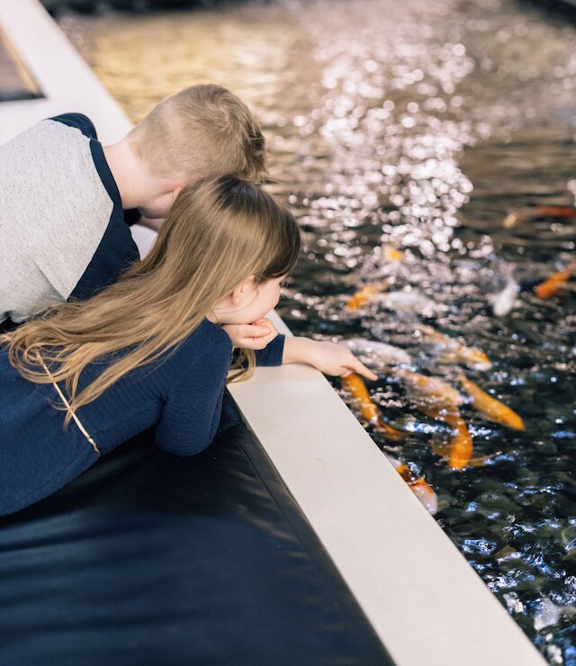 ハイアット リージェンシー トロント