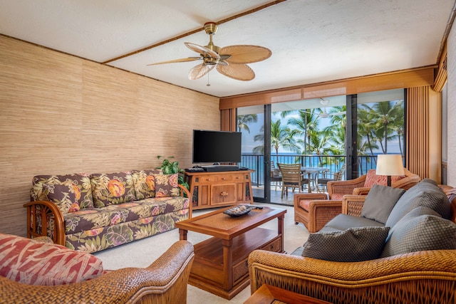 アストン コナ バイ ザ シー