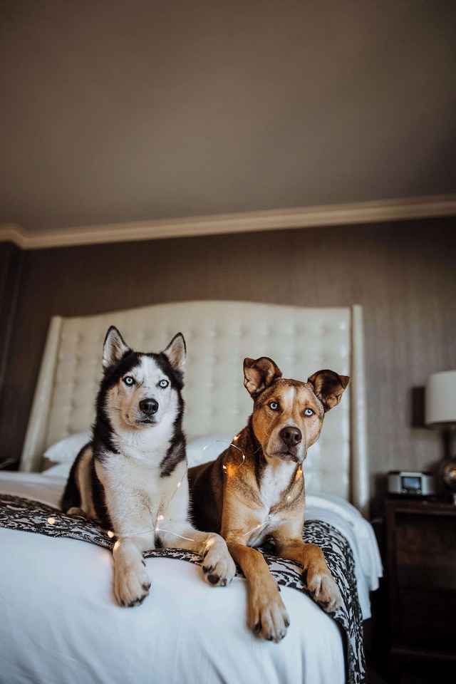 ザ フィスター ホテル