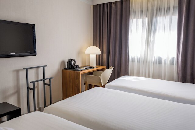 ホテル ゼニット アベバ