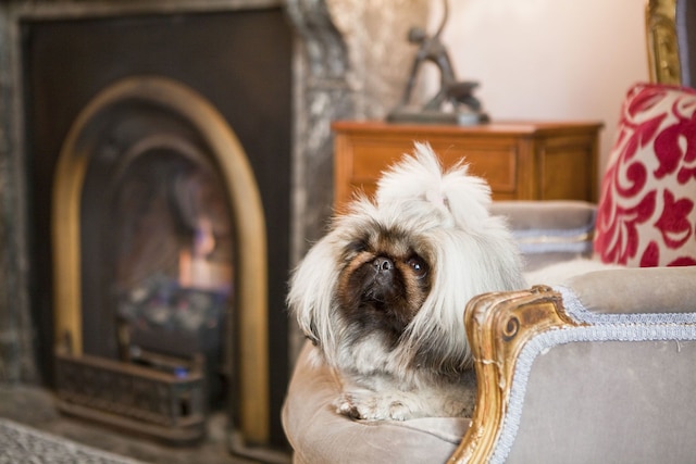 ザ ハグヘンデン ブティック ホテル