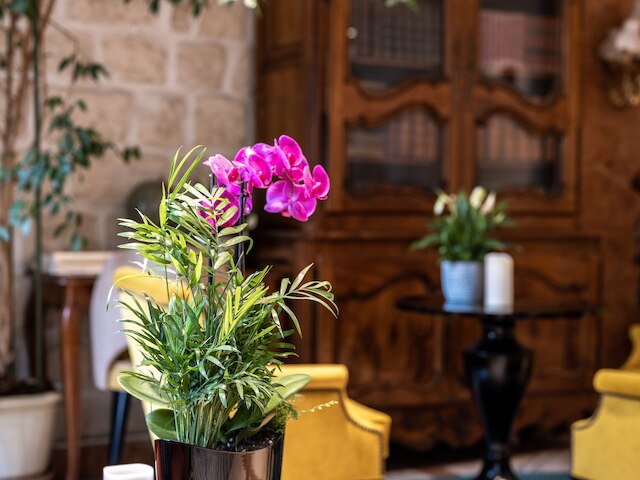 オテル ミネルヴ パリ