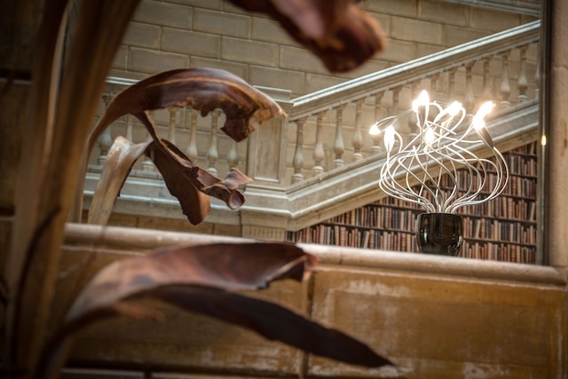 カタロニア ポルタル デ ランジェル