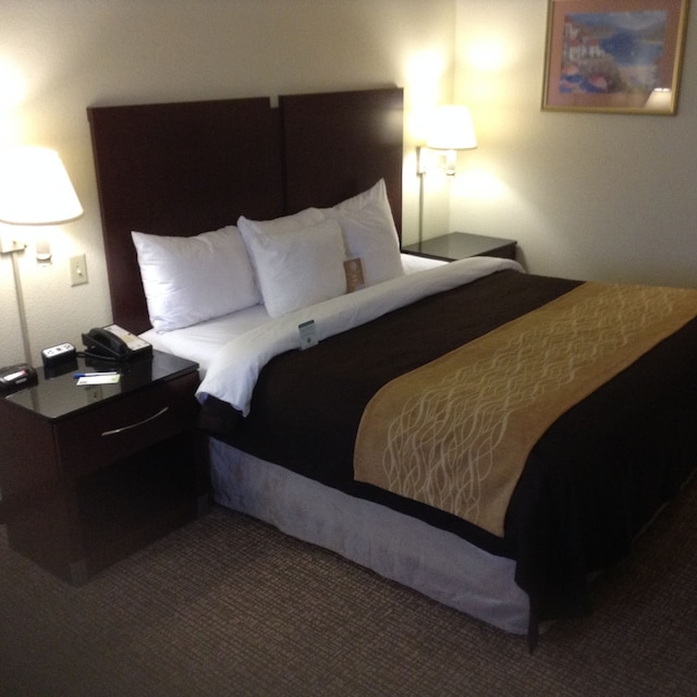 コンフォート イン & スイーツ フォート ジャクソン メインゲート