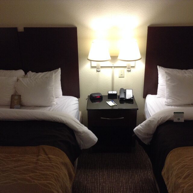 コンフォート イン & スイーツ フォート ジャクソン メインゲート