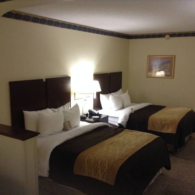 コンフォート イン & スイーツ フォート ジャクソン メインゲート