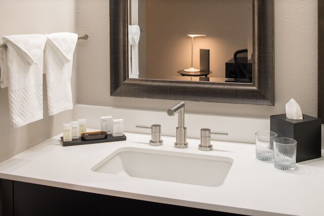 エンバシー スイーツ バイ ヒルトン シアトル タコマ インターナショナル エアポート