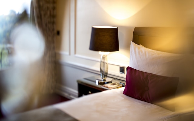 ホテル ベルビュー パレス