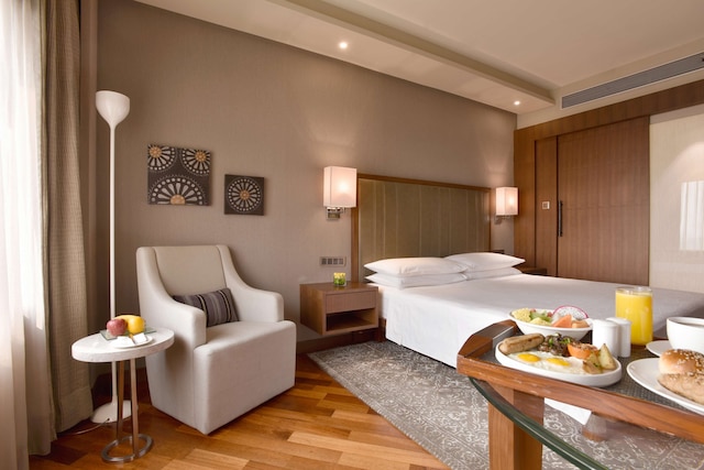 ハイアット リージェンシー デリー