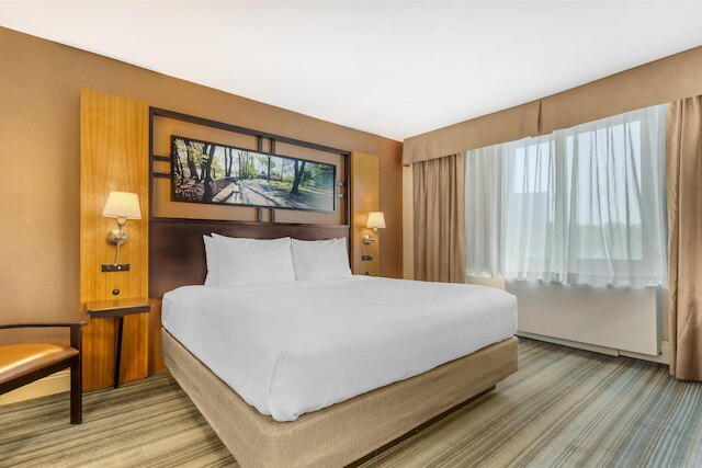 ベストウェスタン クイーンズ ゴールド コースト