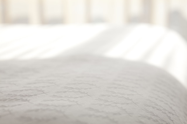 シェラトン オッフェンバッハ ホテル