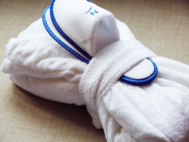 ノボテル チューリッヒ エアポート メッセ